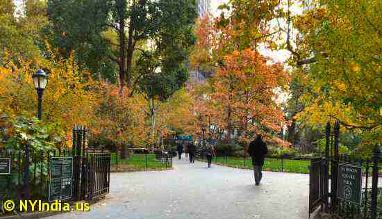 Madison Square Park © NYIndia.us